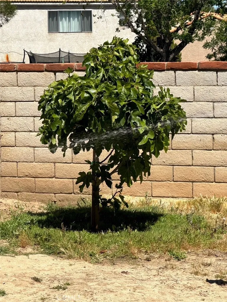 4855 Opal Palmdale, CA 93552