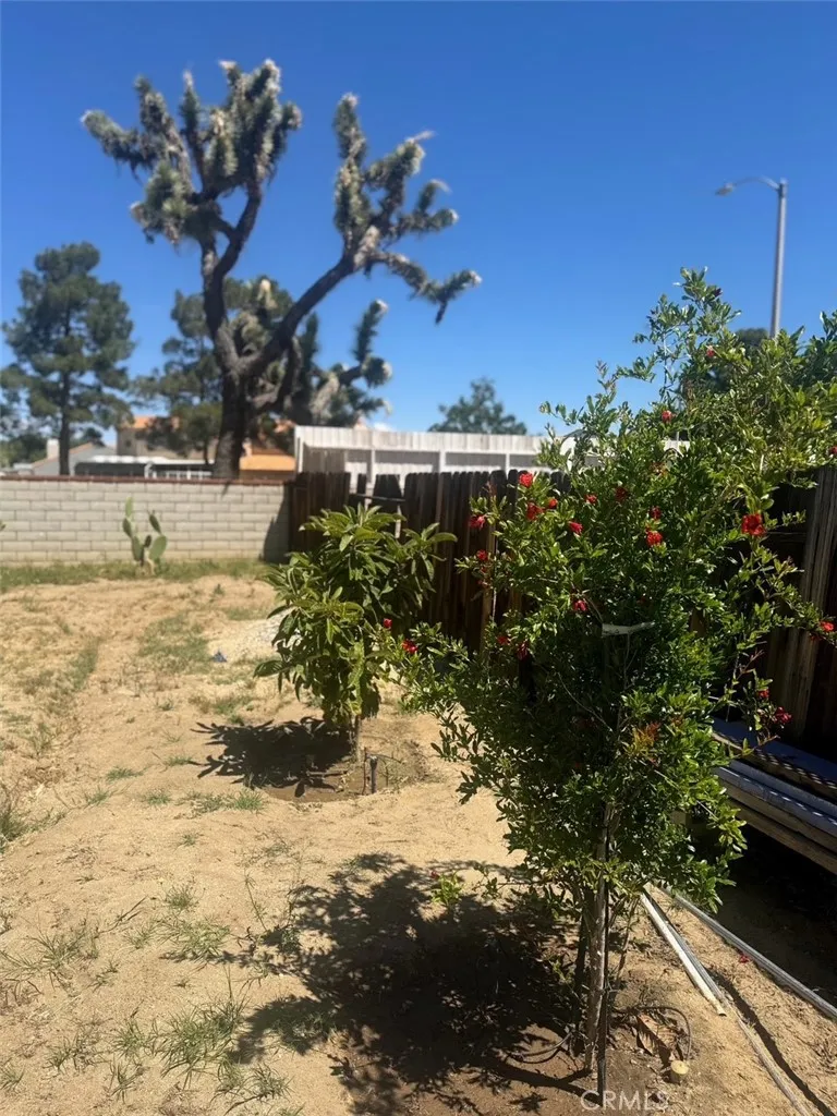 4855 Opal Palmdale, CA 93552