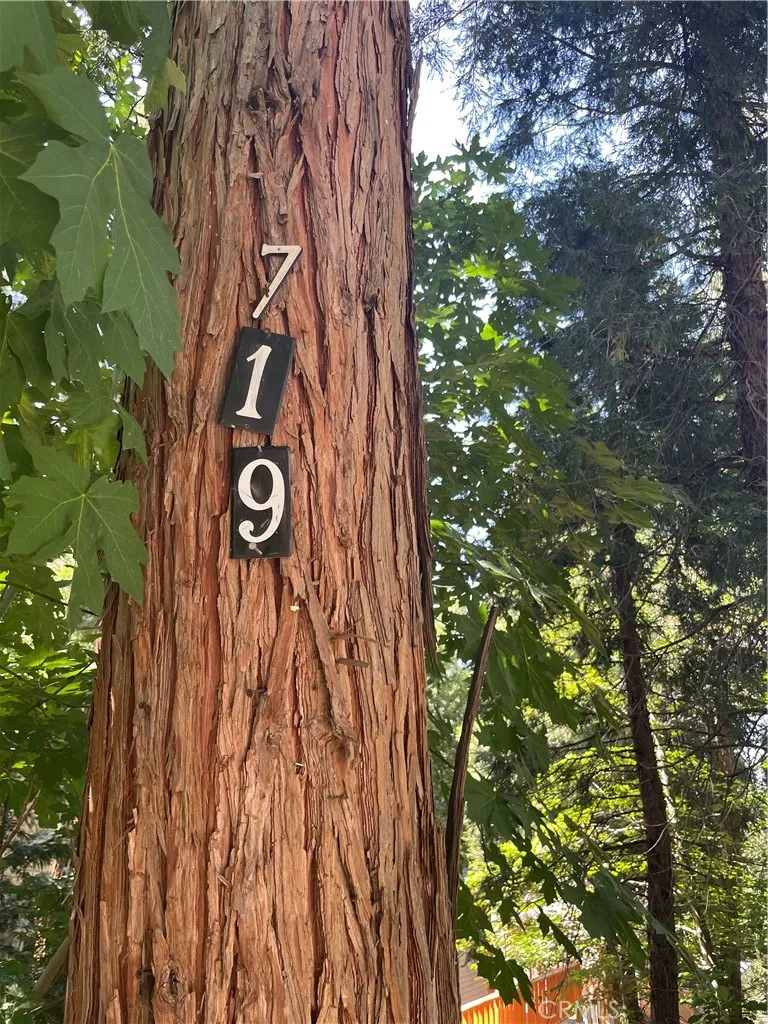 719 Woodland Road Crestline, CA 92325