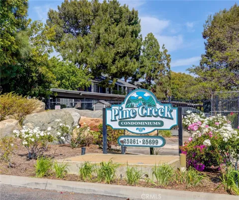 25655 Pine Creek Lane
