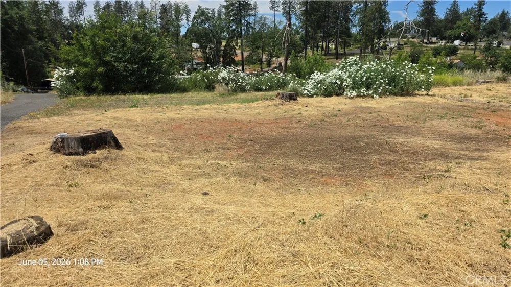 1042 Central Park Paradise, CA 95969