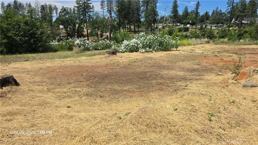 1042 Central Park Paradise, CA 95969