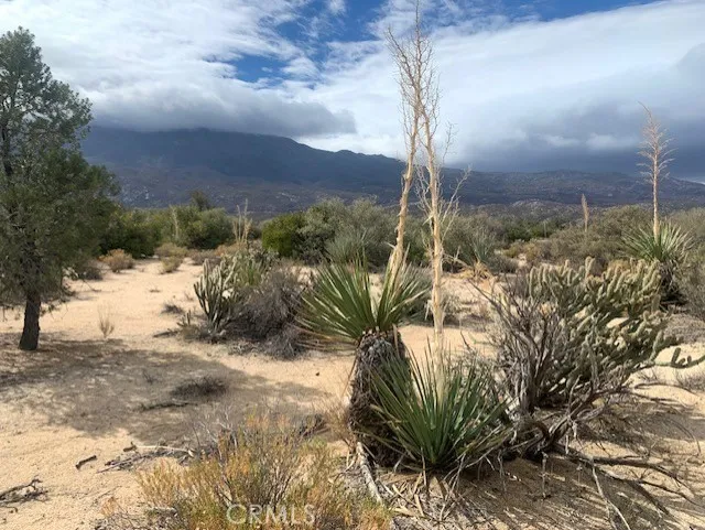 368 Palm Canyon Drive Mountain Center, CA 92561