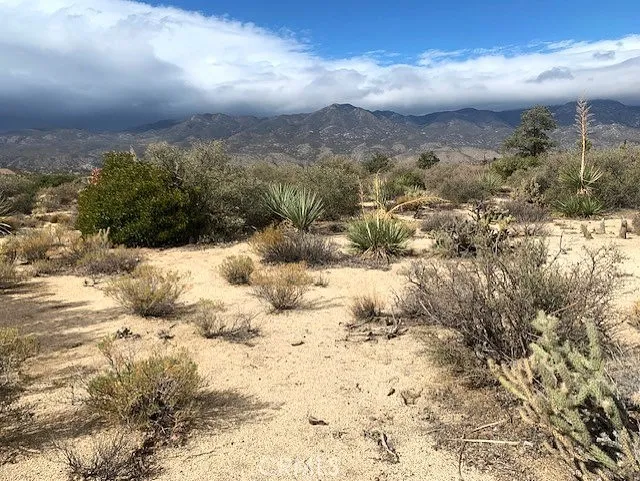 368 Palm Canyon Drive Mountain Center, CA 92561