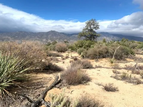 368 Palm Canyon Drive