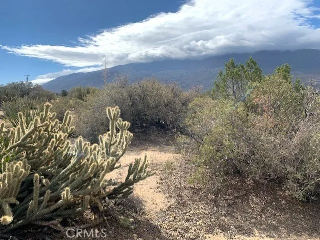368 Palm Canyon Drive Mountain Center, CA 92561