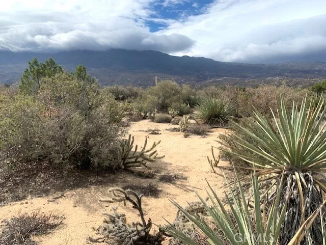 368 Palm Canyon Drive Mountain Center, CA 92561