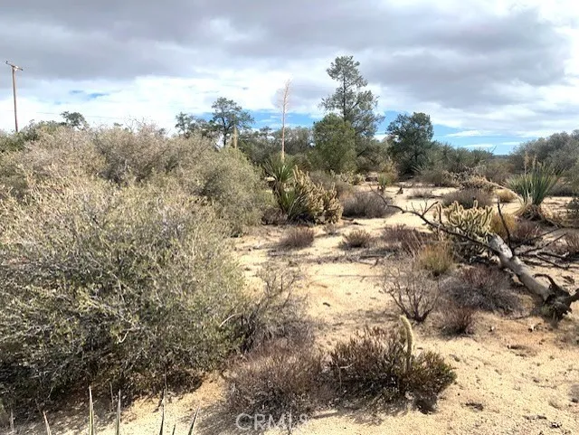368 Palm Canyon Drive Mountain Center, CA 92561