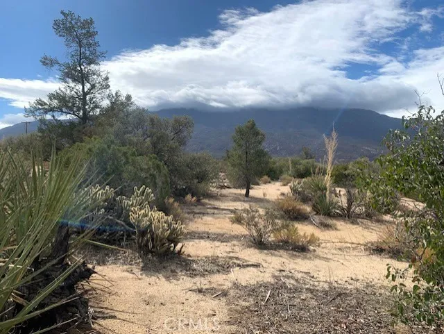 368 Palm Canyon Drive Mountain Center, CA 92561