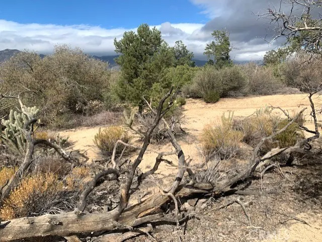 368 Palm Canyon Drive Mountain Center, CA 92561