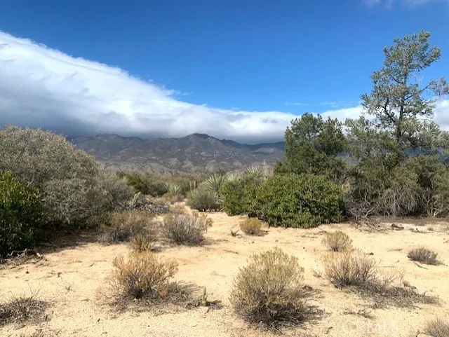 368 Palm Canyon Drive Mountain Center, CA 92561