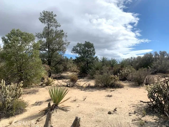368 Palm Canyon Drive Mountain Center, CA 92561