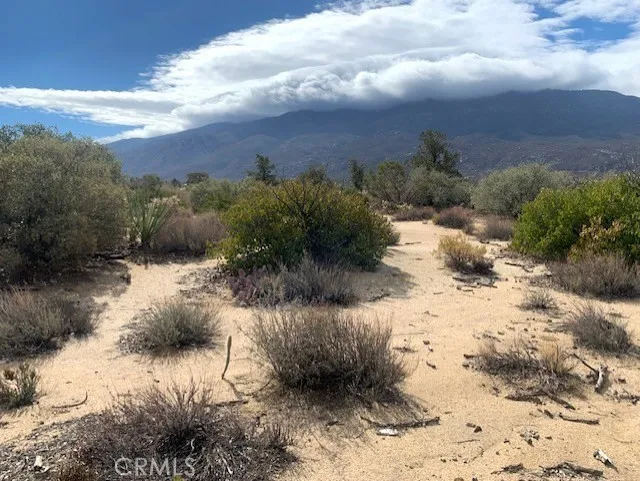 368 Palm Canyon Drive Mountain Center, CA 92561
