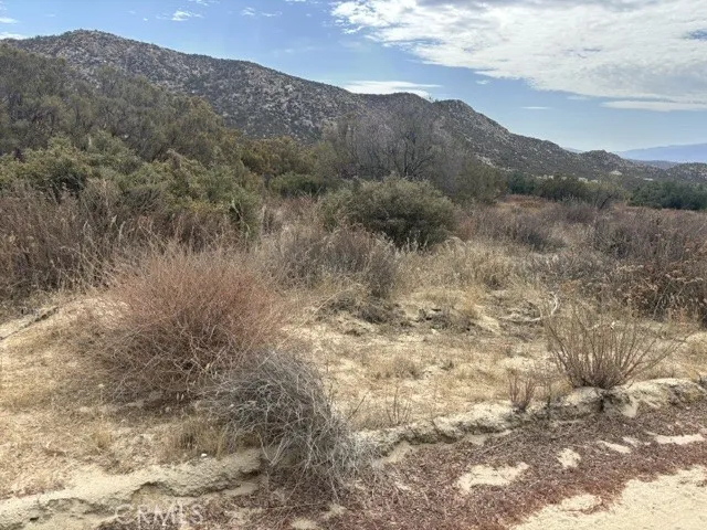 14 Exa Ely Road Hemet, CA 92544