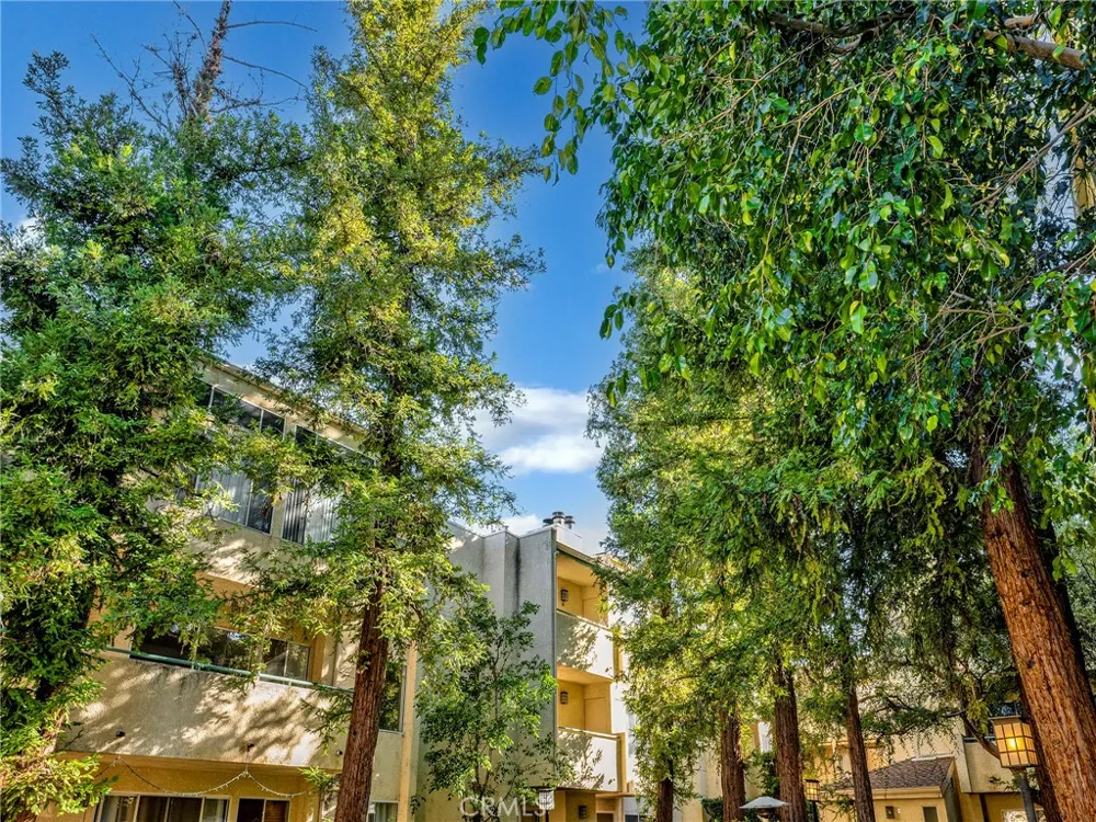 7800 Topanga Canyon Boulevard #216 Canoga Park, CA 91304