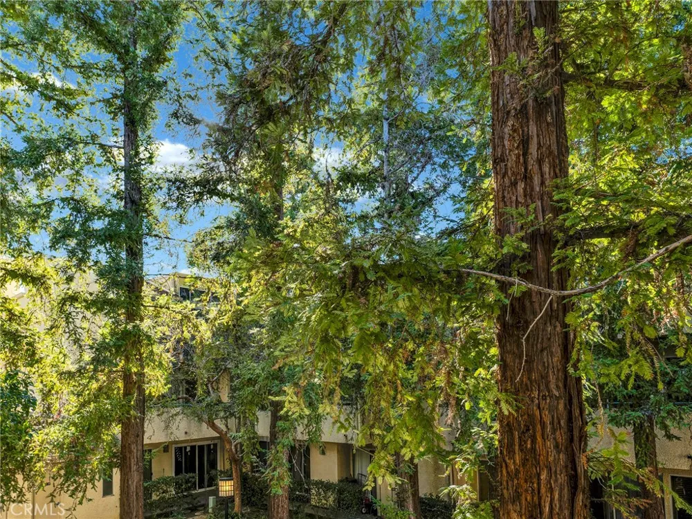 7800 Topanga Canyon Boulevard #216 Canoga Park, CA 91304