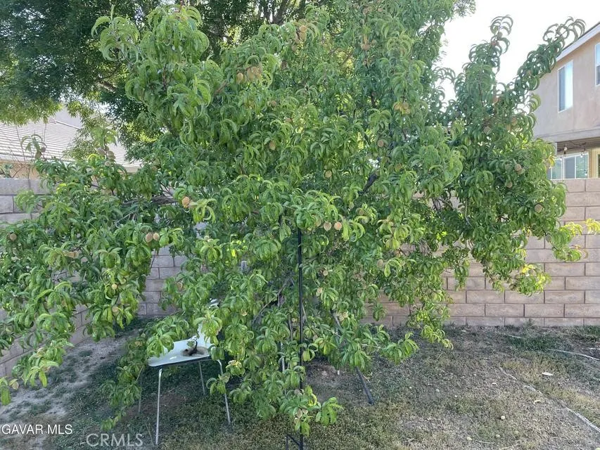 3303 Arious Lancaster, CA 93536