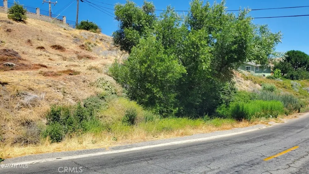 Ranch Club Rd Lake Elizabeth, CA 93532