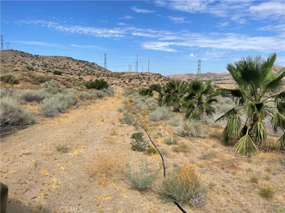 32952 Angeles Forest Highway Palmdale, CA 93550