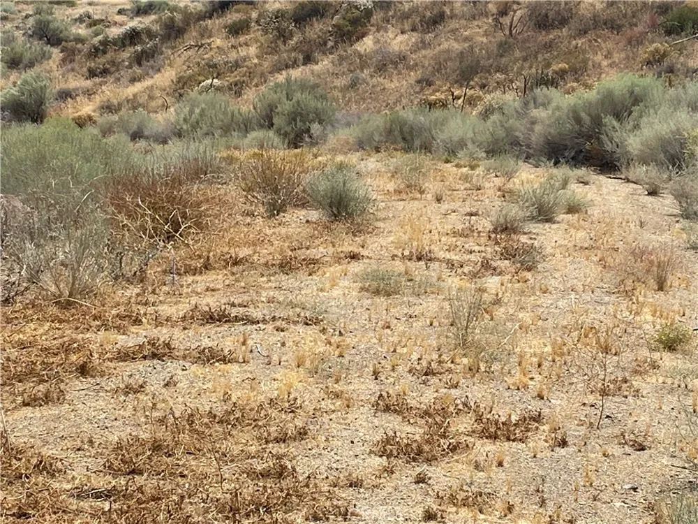 32952 Angeles Forest Highway Palmdale, CA 93550