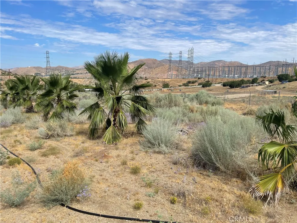 32952 Angeles Forest Highway Palmdale, CA 93550