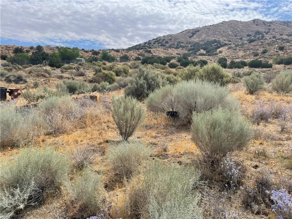 32952 Angeles Forest Highway Palmdale, CA 93550