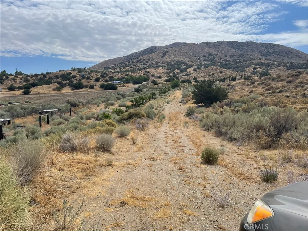 32952 Angeles Forest Highway Palmdale, CA 93550