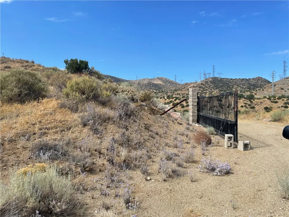 32952 Angeles Forest Highway Palmdale, CA 93550