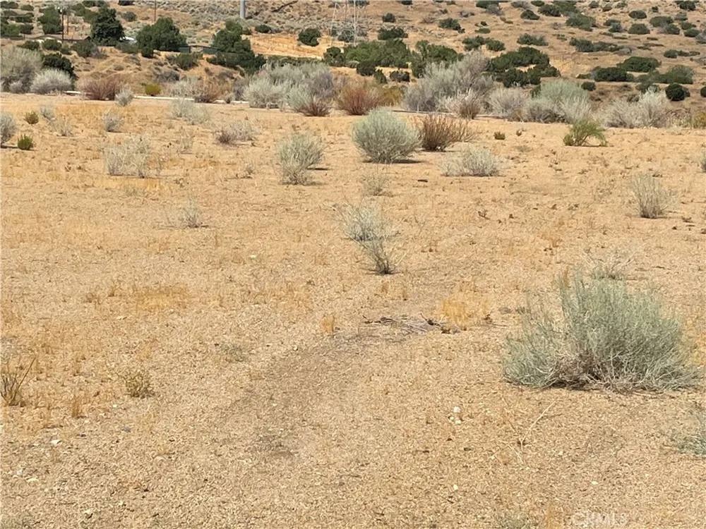 32952 Angeles Forest Highway Palmdale, CA 93550