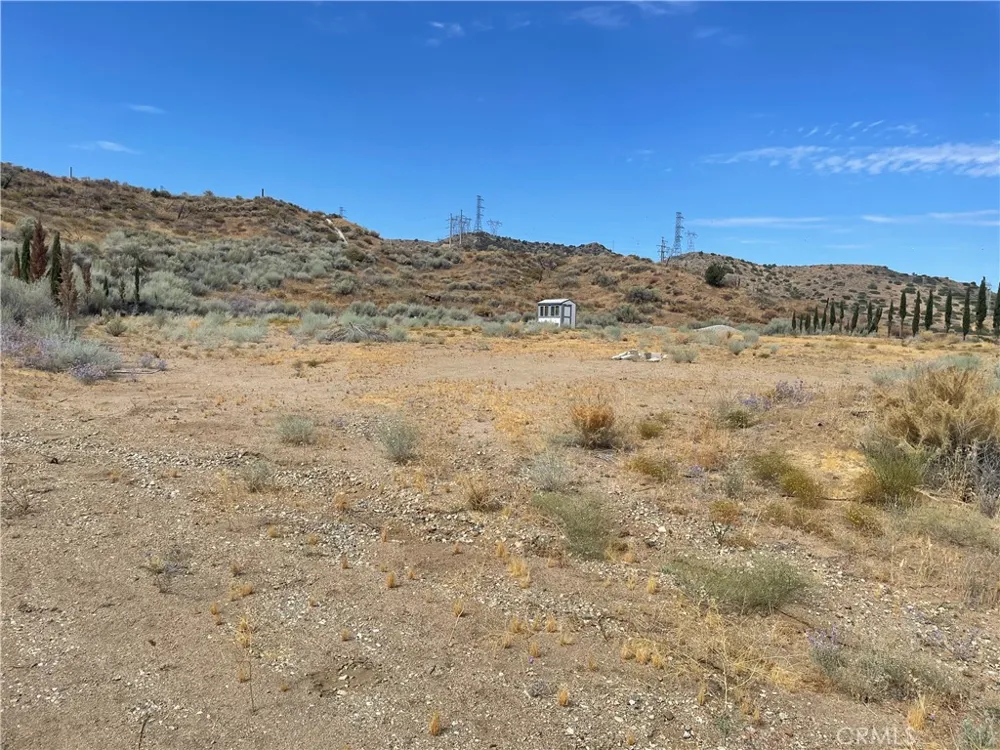 32952 Angeles Forest Highway Palmdale, CA 93550