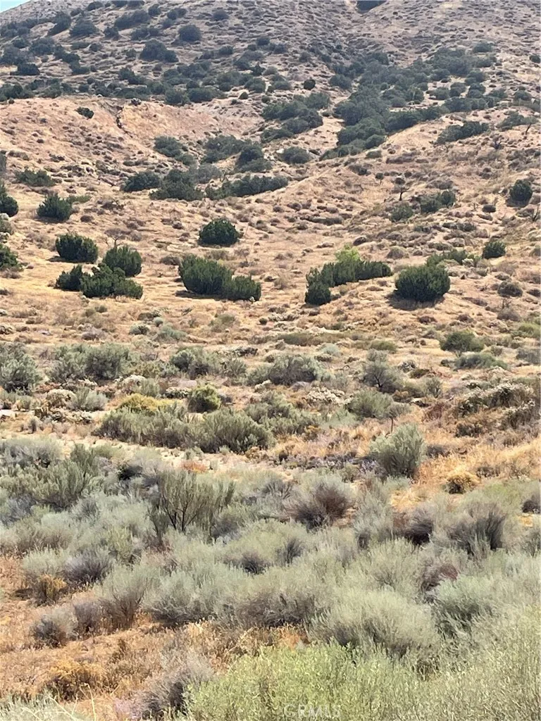 32952 Angeles Forest Highway Palmdale, CA 93550