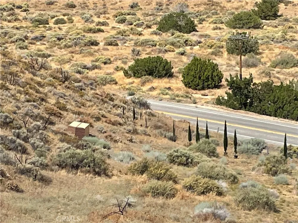 32952 Angeles Forest Highway Palmdale, CA 93550