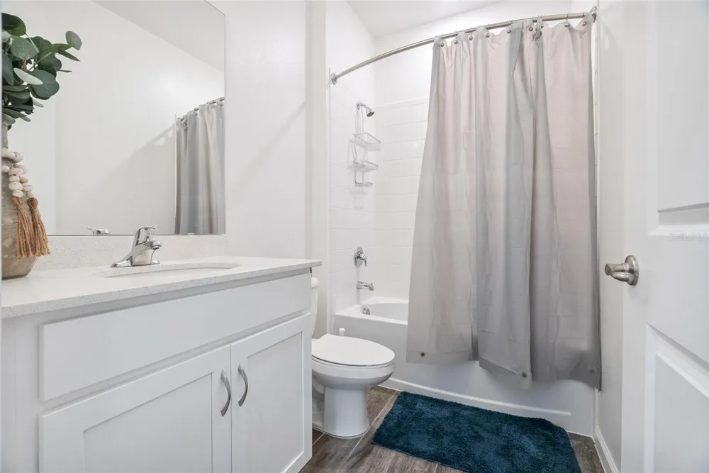 2316 SIRENA LANE Mount Dora, FL 32757