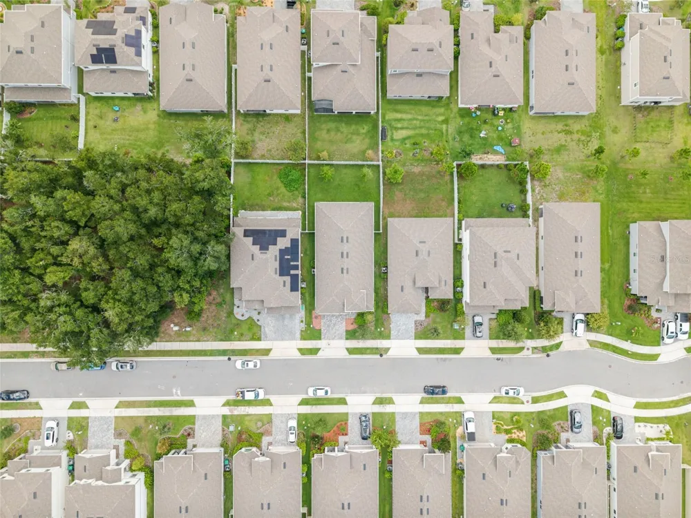 2316 SIRENA LANE Mount Dora, FL 32757