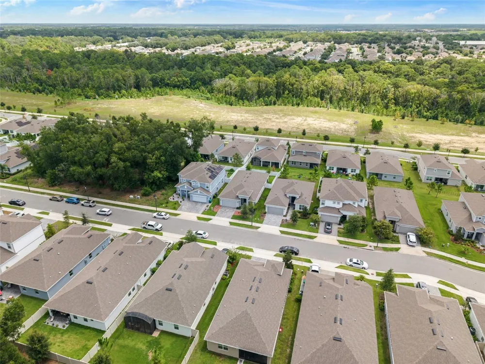 2316 SIRENA LANE Mount Dora, FL 32757