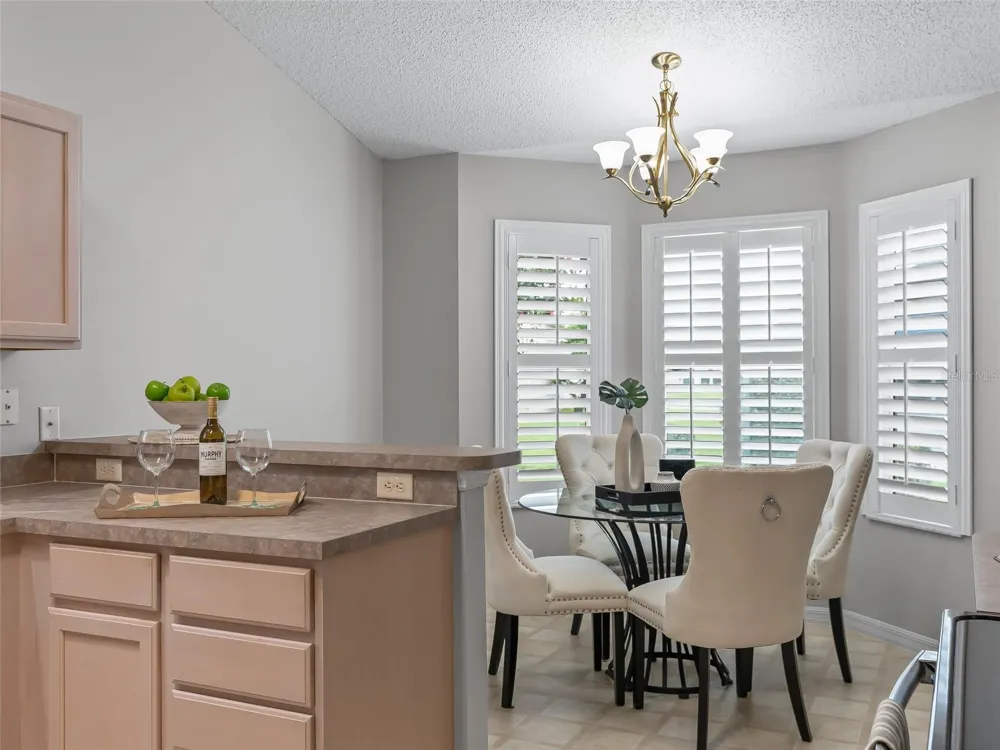 17899 SE 87TH BOURNE AVENUE The Villages, FL 32162