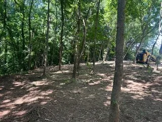 0 Clemons Ridge Rd Silver Point, TN 38582
