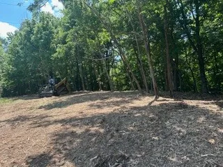 0 Clemons Ridge Rd Silver Point, TN 38582