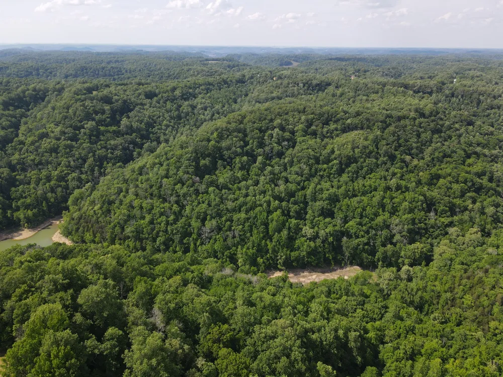 0 Clemons Ridge Rd Silver Point, TN 38582