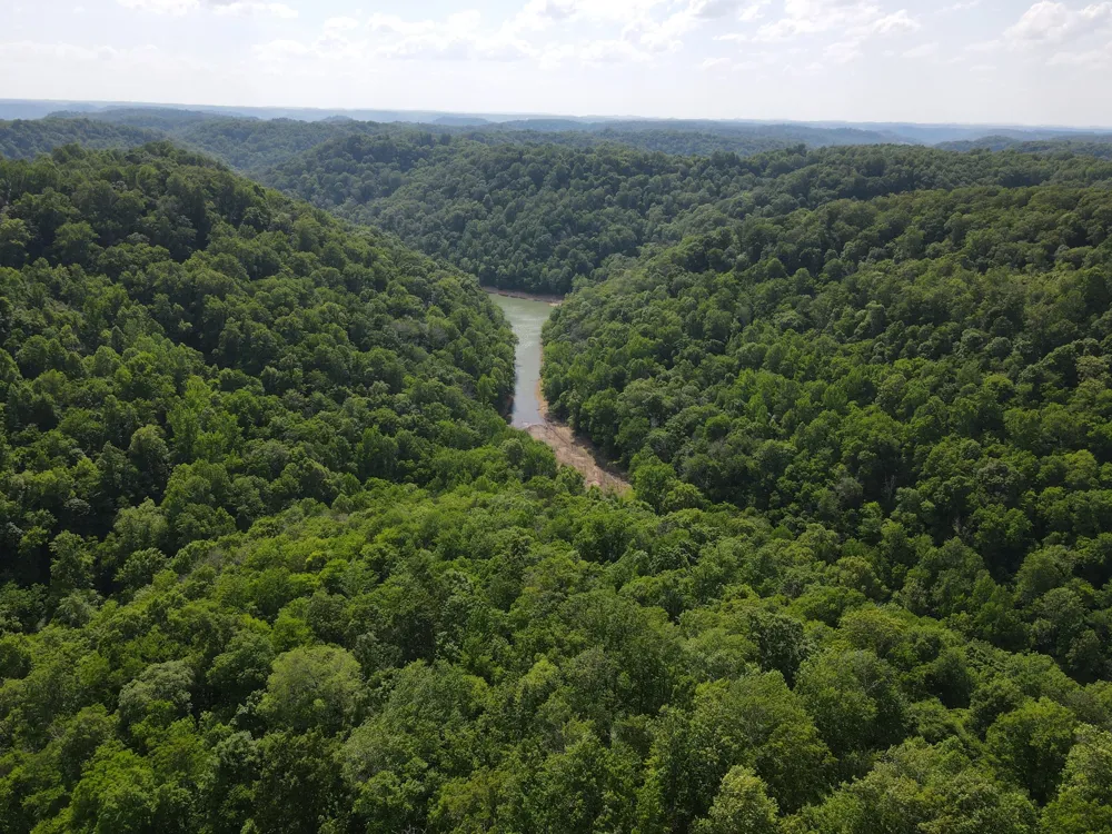 0 Clemons Ridge Rd Silver Point, TN 38582