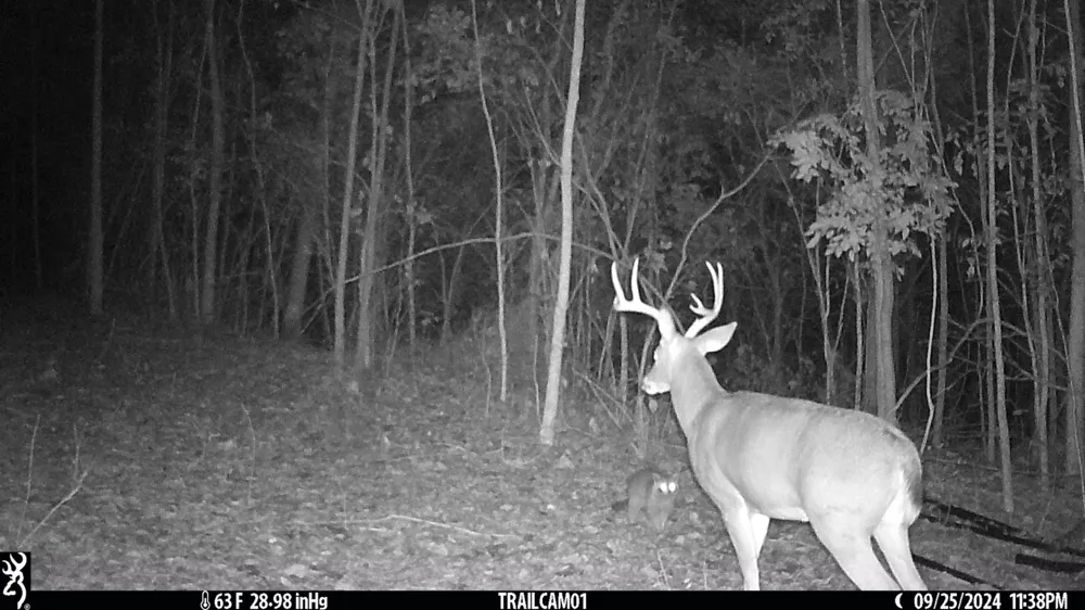 0 Clemons Ridge Rd Silver Point, TN 38582