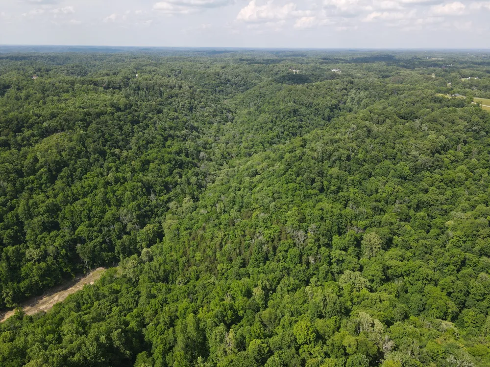 0 Clemons Ridge Rd Silver Point, TN 38582