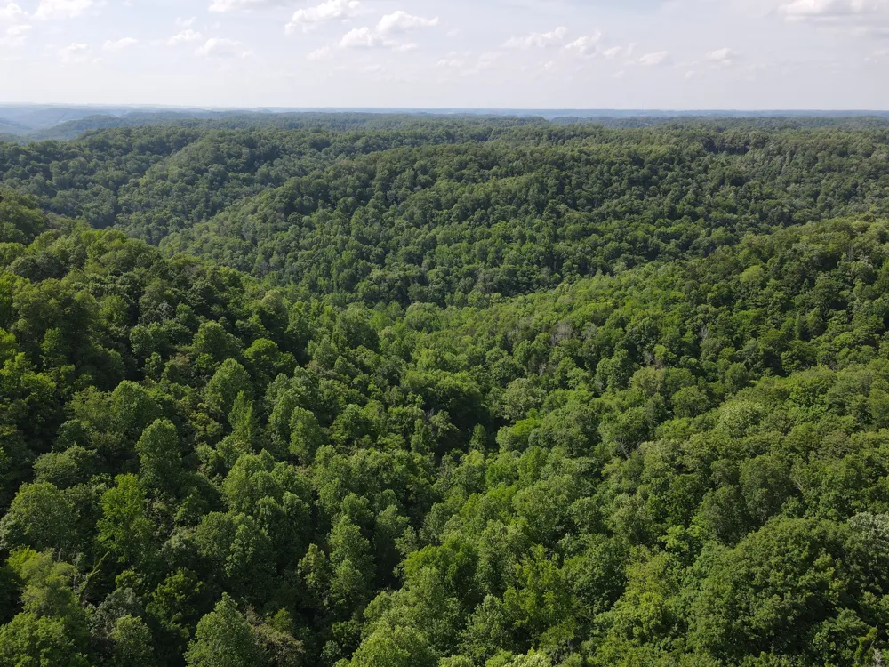 0 Clemons Ridge Rd Silver Point, TN 38582