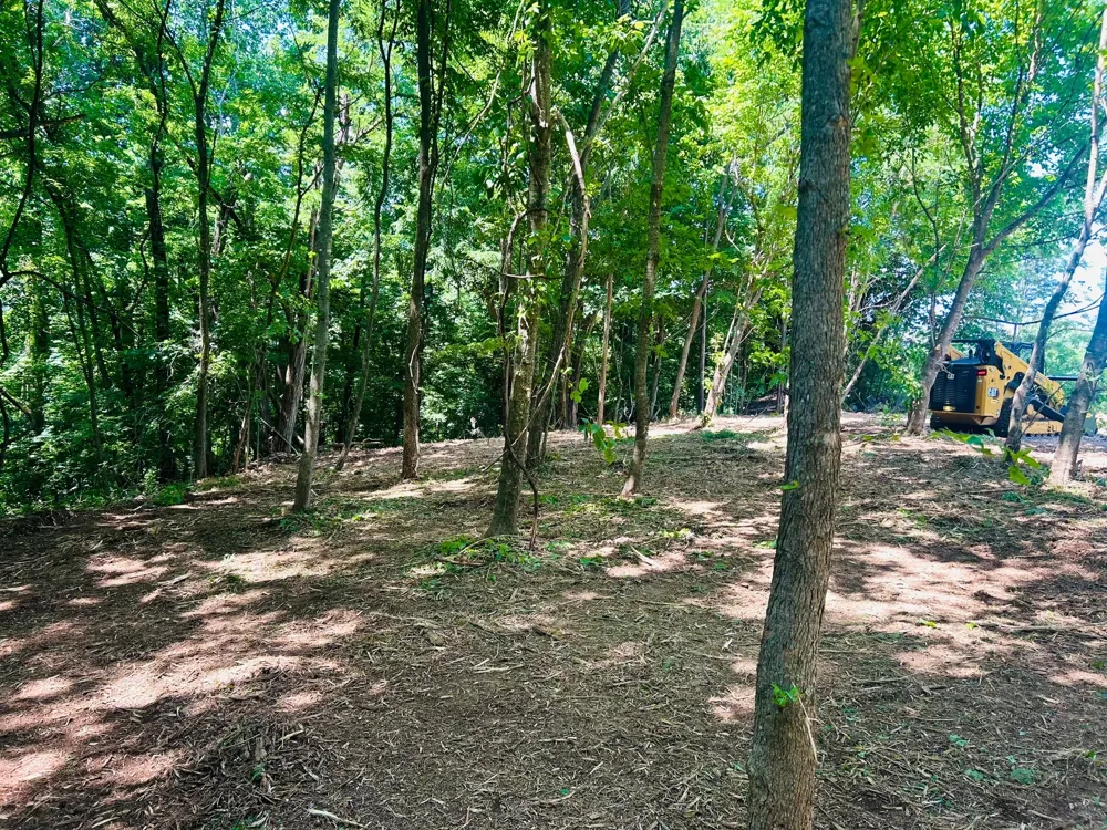 0 Clemons Ridge Rd Silver Point, TN 38582
