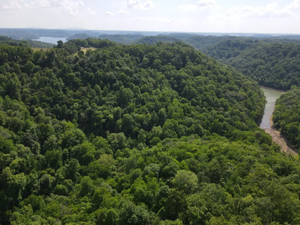 0 Clemons Ridge Rd Silver Point, TN 38582