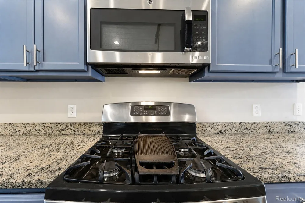 54908 Grenelefe Circle W Lyon Charter Township, MI 48178
