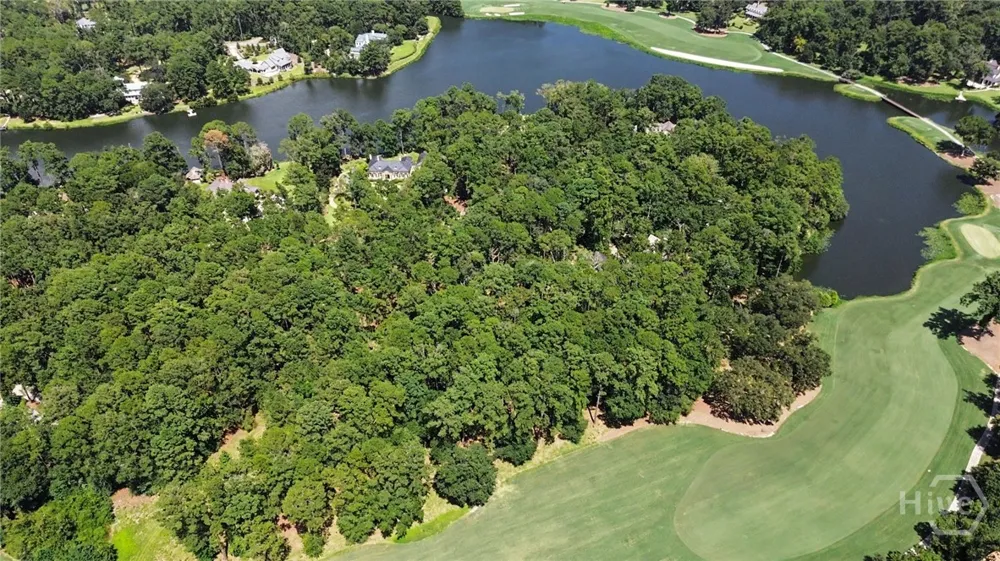 388 Belted Kingfisher Lane Richmond Hill, GA 31324