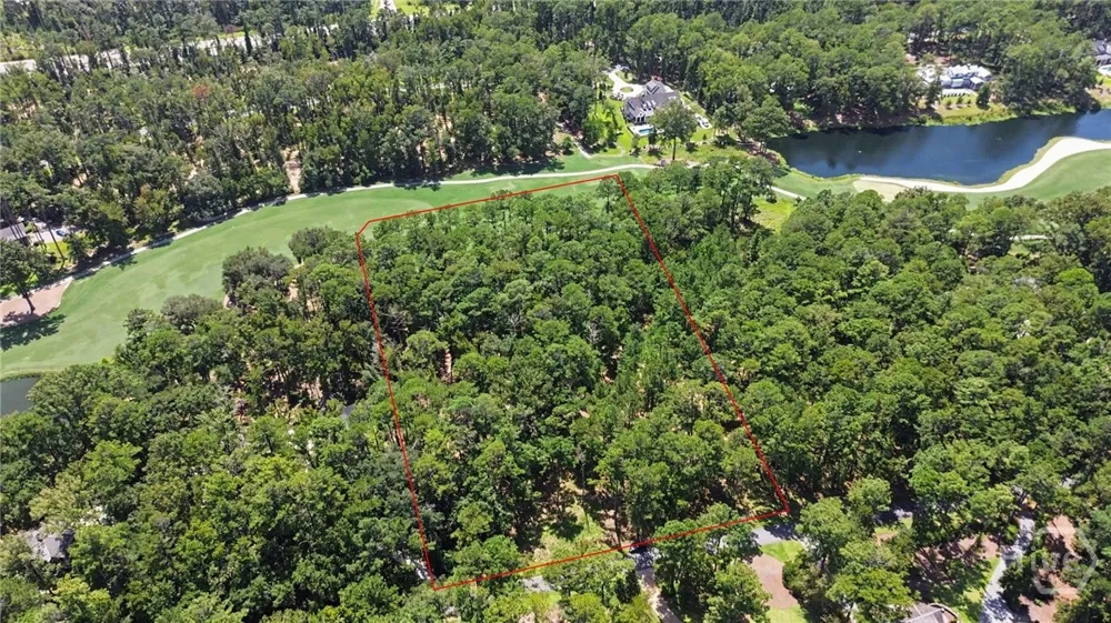 388 Belted Kingfisher Lane Richmond Hill, GA 31324