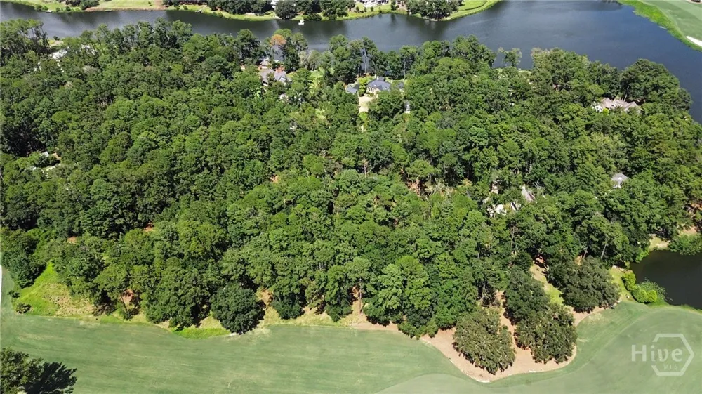 388 Belted Kingfisher Lane Richmond Hill, GA 31324