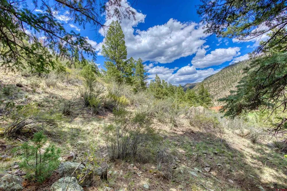 1139 Rio Grande Club Trail South Fork, CO 81154